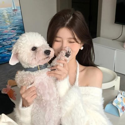 洪兴仔之江湖大风暴